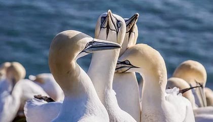 郑州多个地铁站一夜更名，乘客称“求医”更方便了