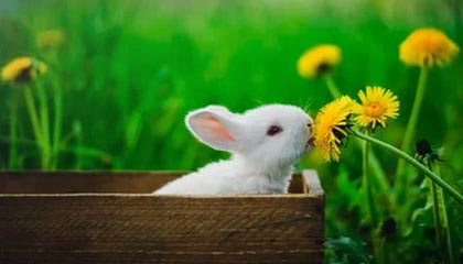 上海一路口轿车掉头，不慎将电瓶车卷入车底，警民合力救出伤者并送医