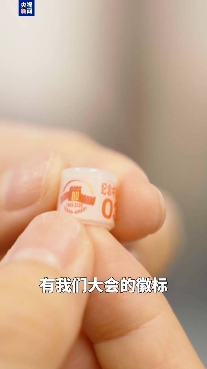 广场放飞8万只和平鸽 它们从哪来到哪去？