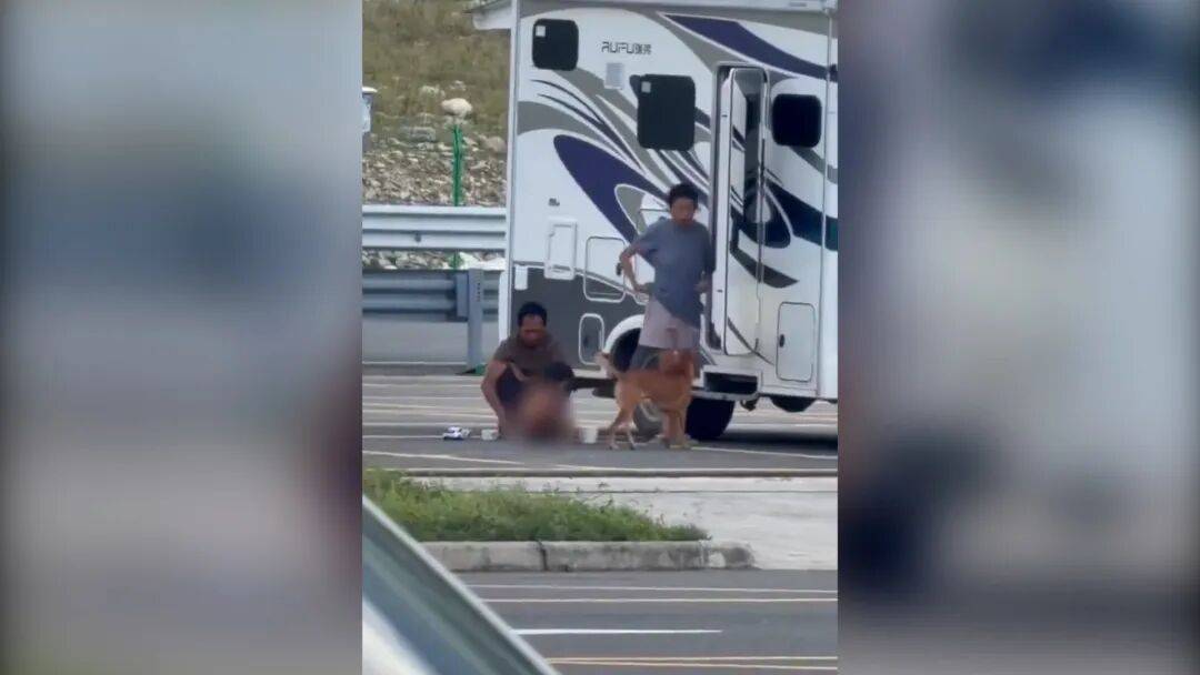 村民：“野人小孩”父亲上山“灵修”后就不正常了