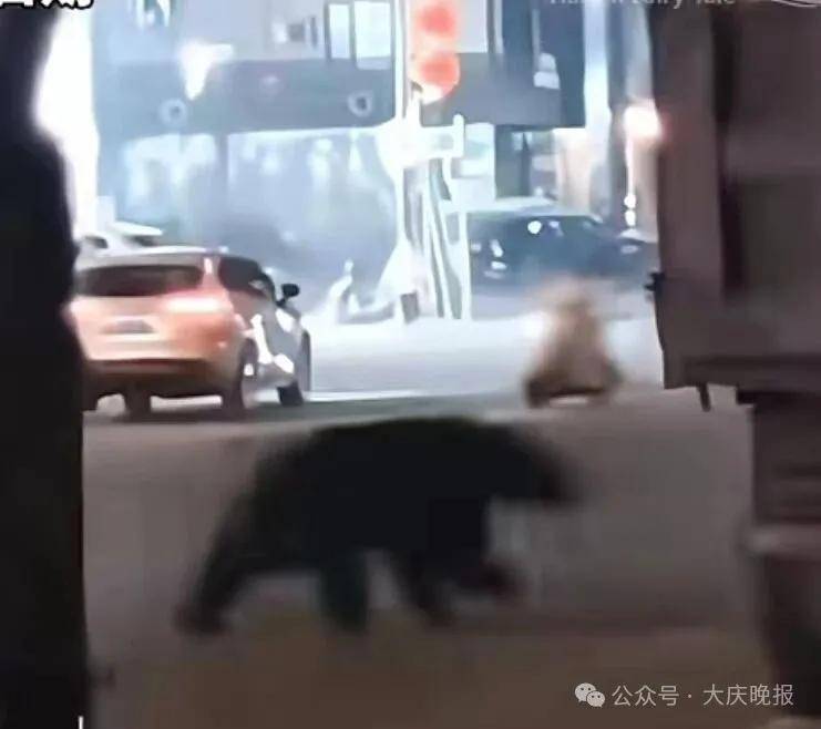 当场击毙!东北此地突发