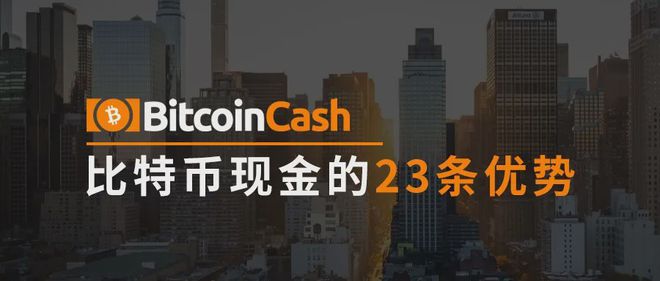 bch币(bch币最新消息及前景)