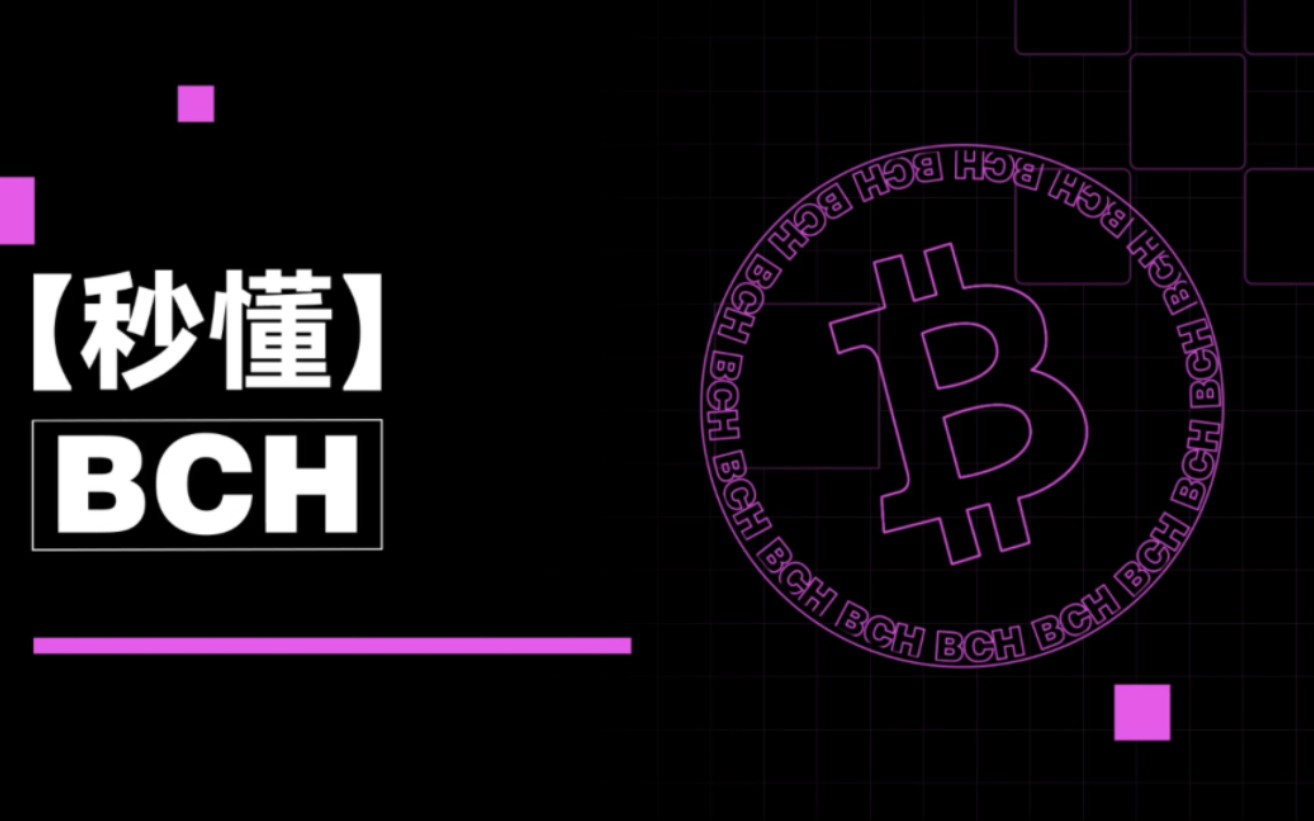 bch币(bch币最新消息及前景)